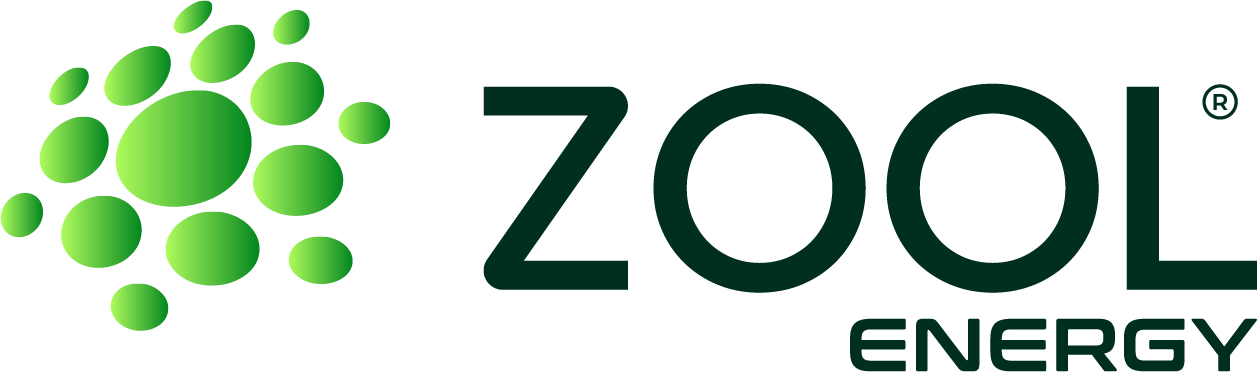 Zool Logo