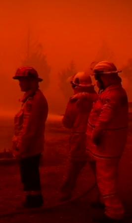 bushfire 1